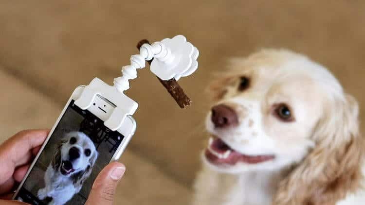 Fantastic Gadgets for Pet Owners and Pets