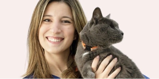 Cão ou Gato – Qual devo escolher?