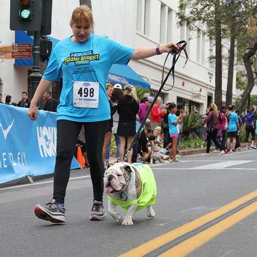 Correr con tu perro: qué hacer y qué evitar