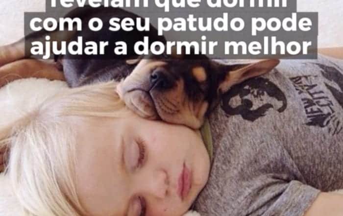 Dormir com os patudos